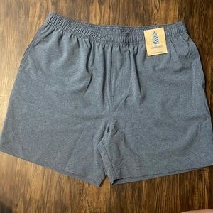 Chubbies 5.5” Gym/Swim Hybrid Shorts